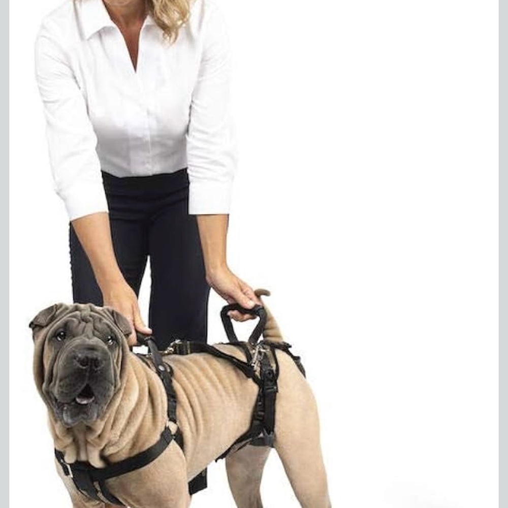 PetSafe CareLift Full Body Lifting Harness Large 70-130lbs Dog Mobility NIB .